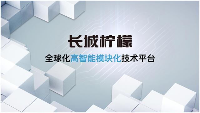 论取名字，长城还没服过谁，“柠檬、坦克、咖啡智能”令人称奇