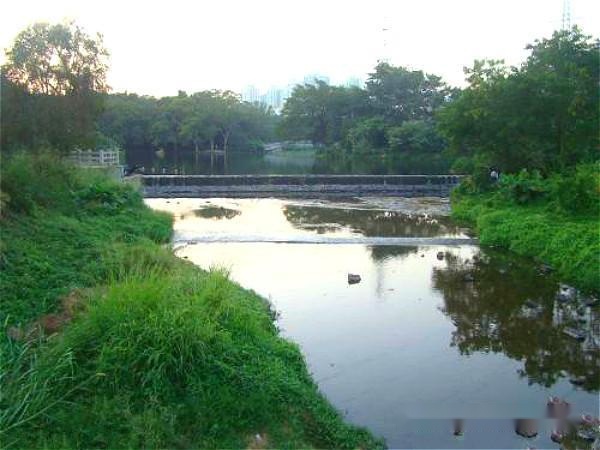 故事：女子欲跳河自尽，一算命先生拦住她，为她算了一卦