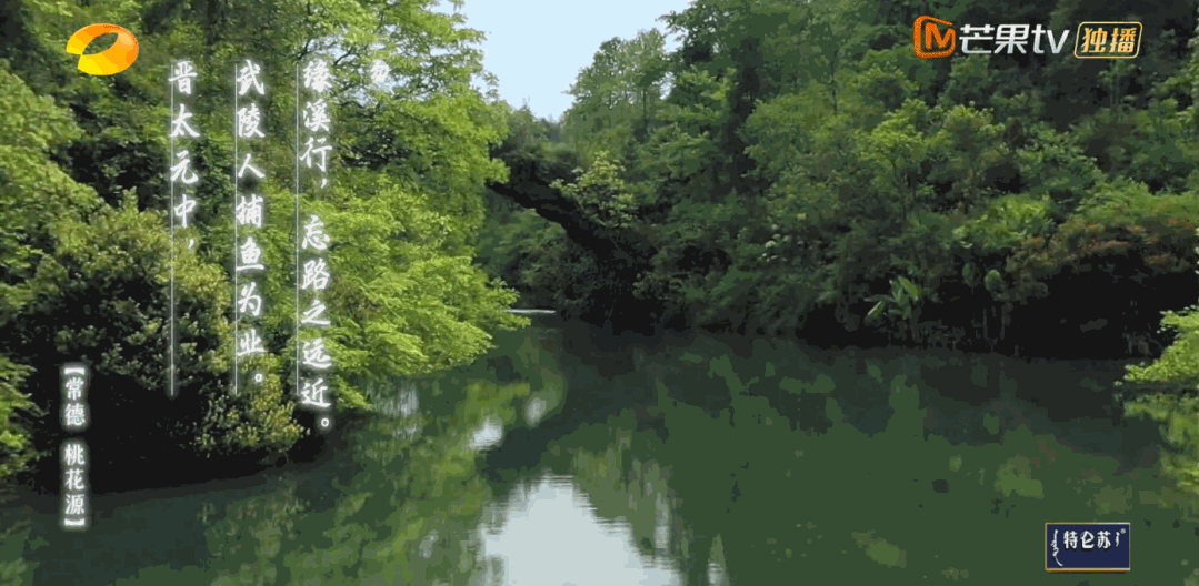 1079_528gif 动态图 动图
