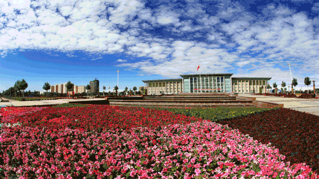 这样的兵团城市爱了爱了