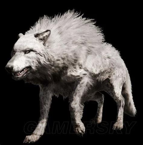 全球已灭绝的十种狼 恐狼最大 日本狼最小 红黑白狼最美